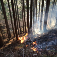 山火事イメージ